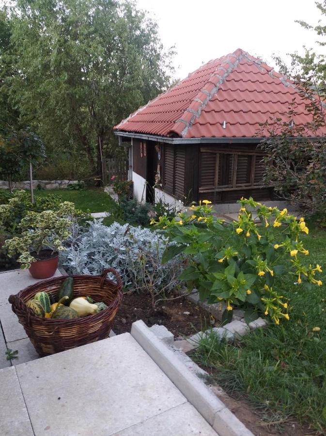 Apartman Civovic Rudnik Exterior foto