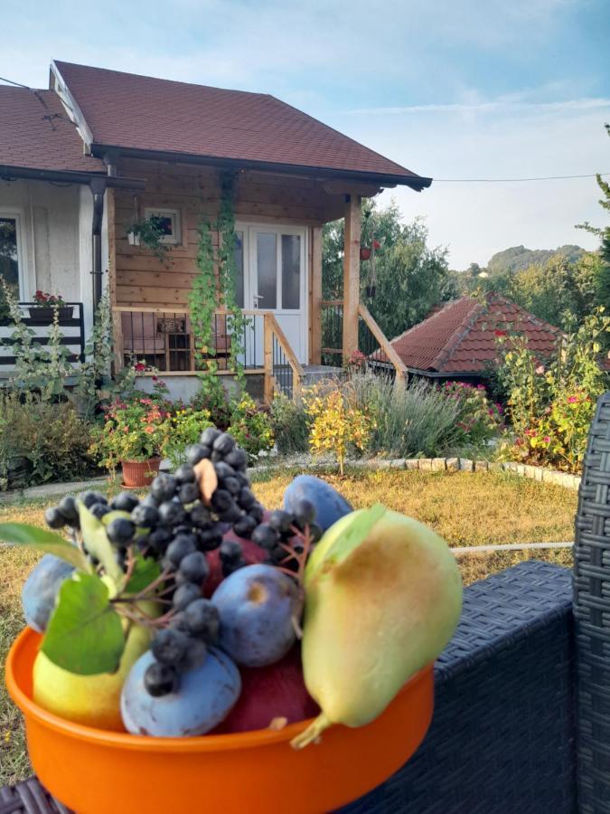 Apartman Civovic Rudnik Exterior foto